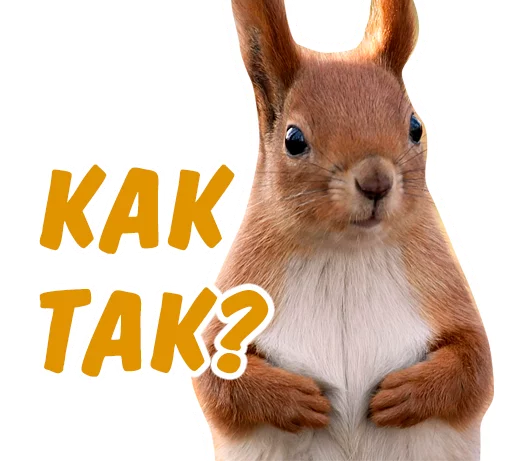 😟 Стикер «животные» для Telegram