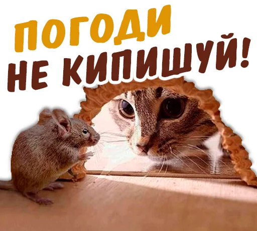 😳 Стикер «животные» для Telegram