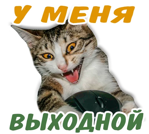 🤙 Стикер «животные» для Telegram
