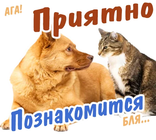 😐 Стикер «животные» для Telegram