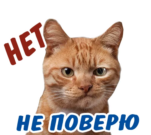 😐 Стикер «животные» для Telegram