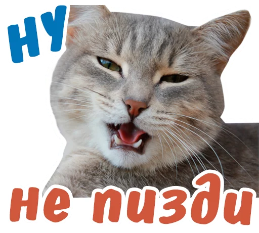 😏 Стикер «животные» для Telegram