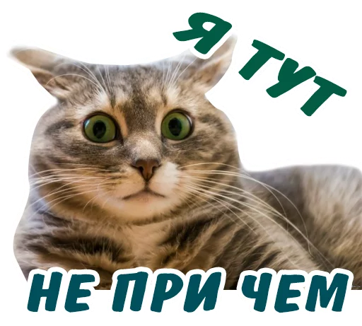 😳 Стикер «животные» для Telegram