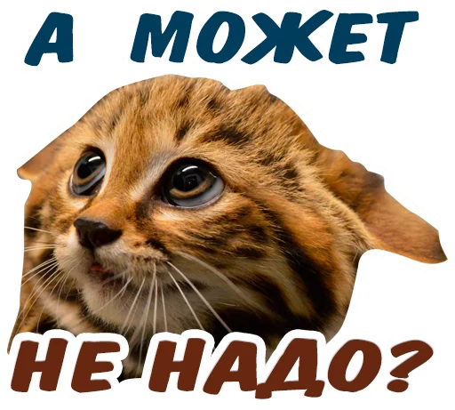 😲 Стикер «животные» для Telegram