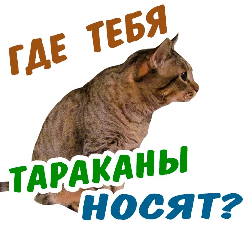 😤 Стикер «животные» для Telegram