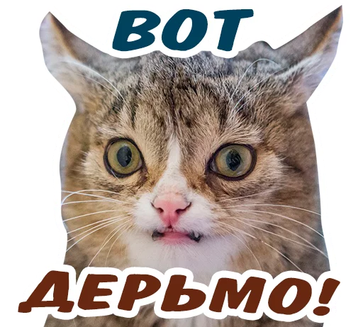 😡 Стикер «животные» для Telegram