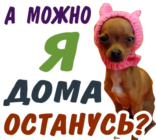 😳 Стикер «животные» для Telegram