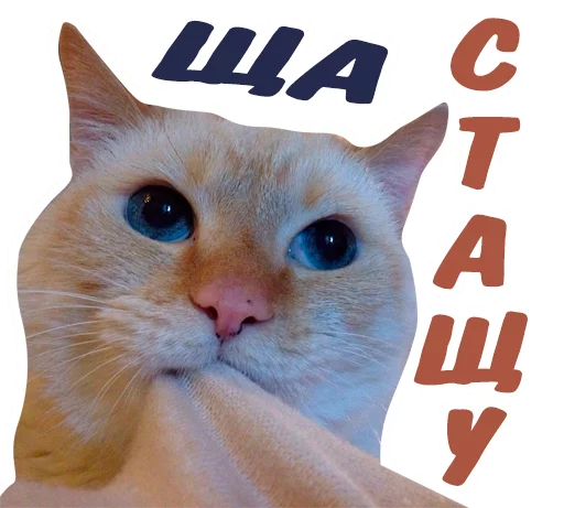 😜 Стикер «животные» для Telegram