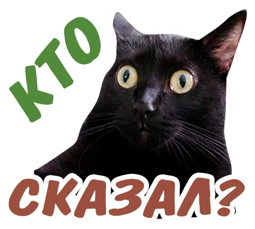 😏 Стикер «животные» для Telegram