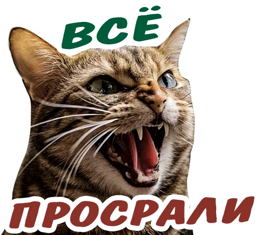😡 Стикер «животные» для Telegram