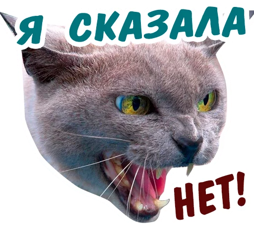 😡 Стикер «животные» для Telegram