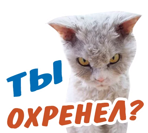 😡 Стикер «животные» для Telegram