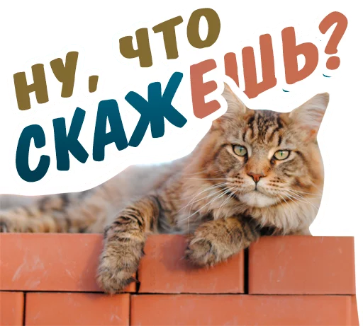 😏 Стикер «животные» для Telegram