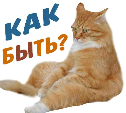 😔 Стикер «животные» для Telegram