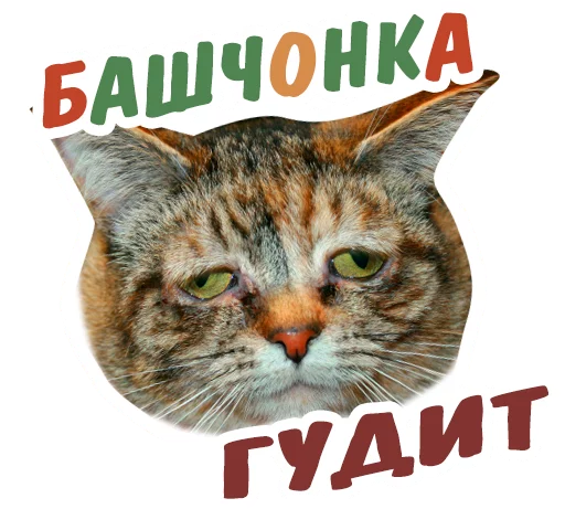 😔 Стикер «животные» для Telegram