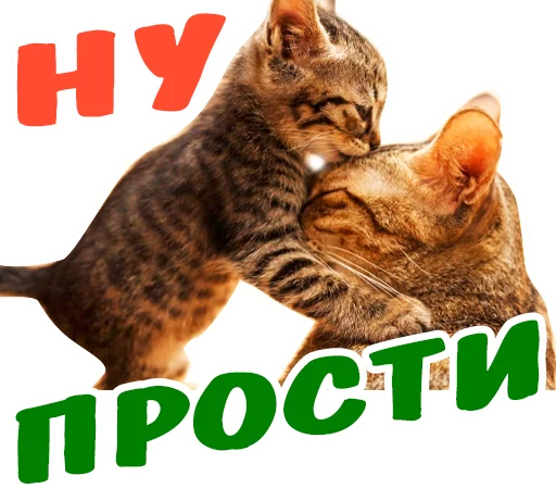 😥 Стикер «животные» для Telegram
