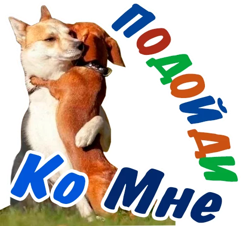 😌 Стикер «животные» для Telegram