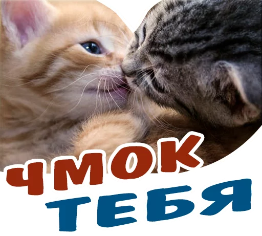 😘 Стикер «животные» для Telegram
