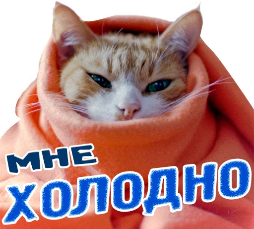 💨 Стикер «животные» для Telegram