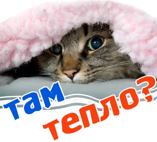 ☀ Стикер «животные» для Telegram