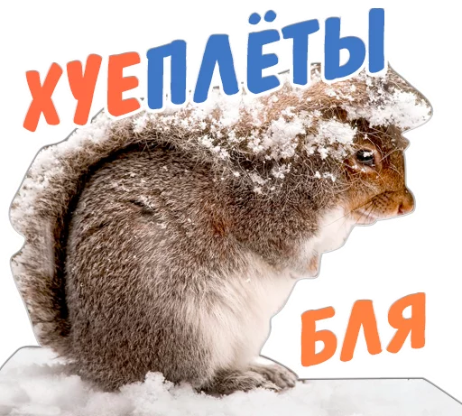 😕 Стикер «животные» для Telegram