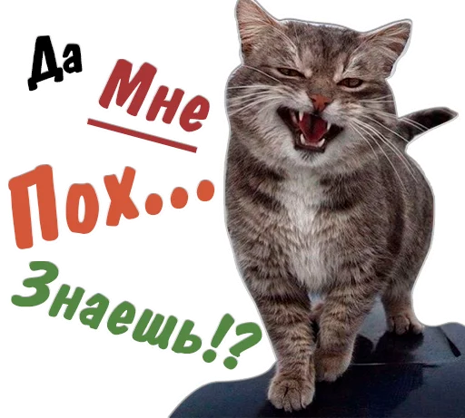 🤗 Стикер «животные» для Telegram