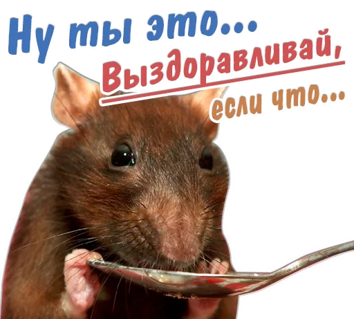 🤒 Стикер «животные» для Telegram