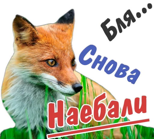 😐 Стикер «животные» для Telegram