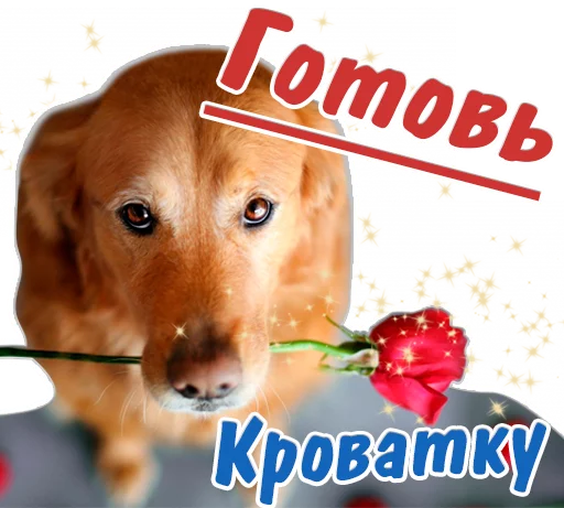😻 Стикер «животные» для Telegram