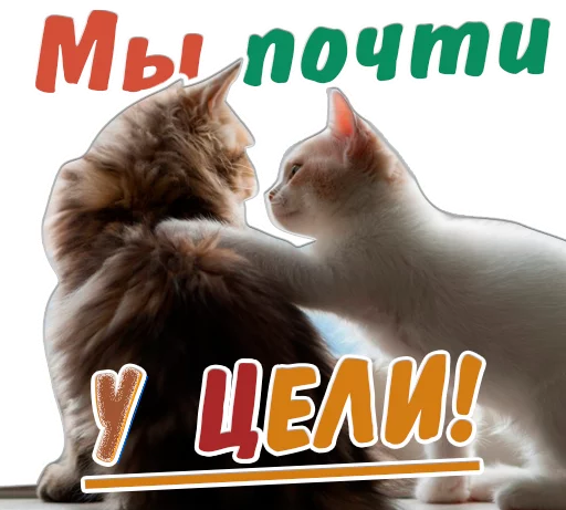 👍 Стикер «животные» для Telegram