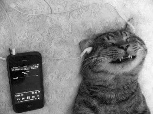 🤠 Стикер «Animals Mood» для Telegram