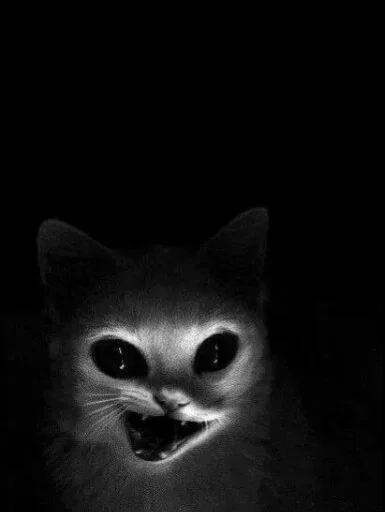 😣 Стикер «Animals Mood» для Telegram