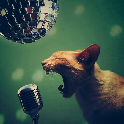 😖 Стикер «Animals Mood» для Telegram