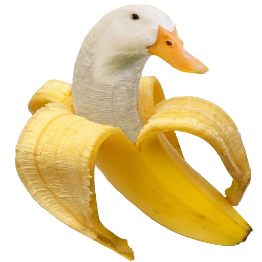 🦢 Стикер «animals or food» для Telegram
