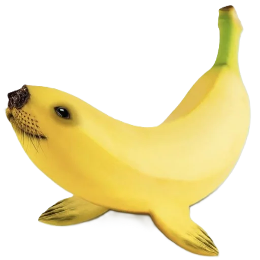 🦭 Стикер «animals or food» для Telegram