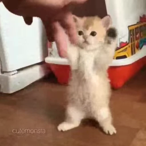 🐾 Стикер «Animals 4» для Telegram