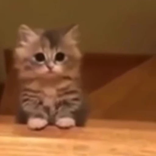 🐾 Стикер «Animals 4» для Telegram