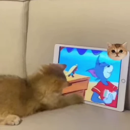 🐾 Стикер «Animals 4» для Telegram