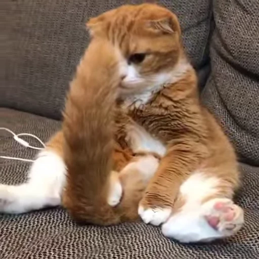 🐾 Стикер «Animals 4» для Telegram