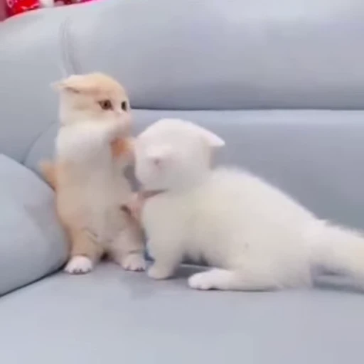 🐾 Стикер «Animals 4» для Telegram