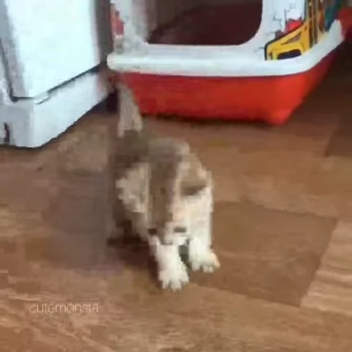 🐾 Стикер «Animals 4» для Telegram