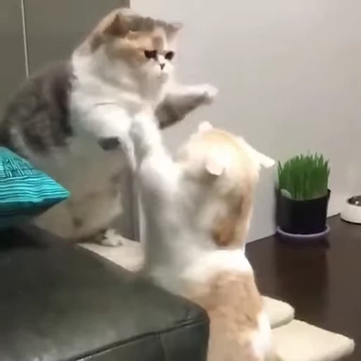 🐾 Стикер «Animals 4» для Telegram