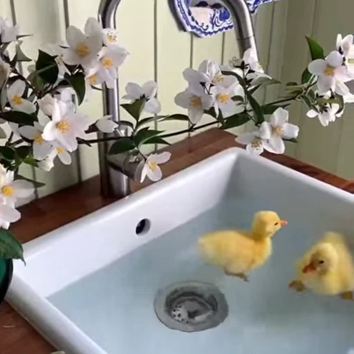🐾 Стикер «Animals 4» для Telegram