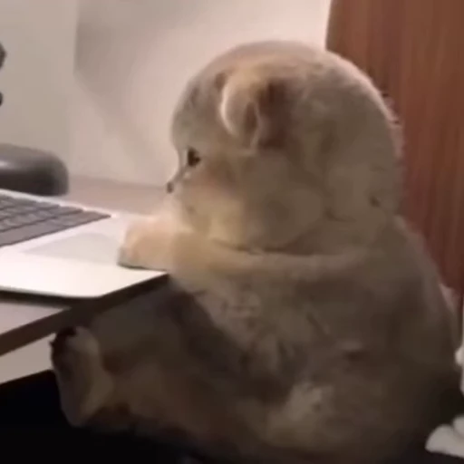 🐾 Стикер «Animals 4» для Telegram