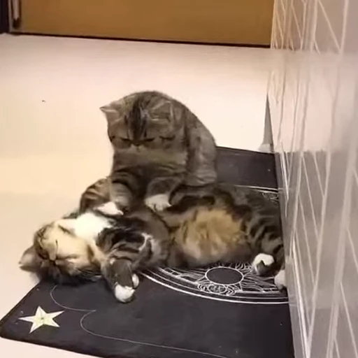 🐾 Стикер «Animals 4» для Telegram