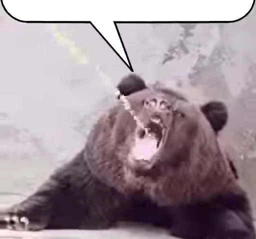 🐻 Стикер «Animated Tea Sanctuary» для Telegram
