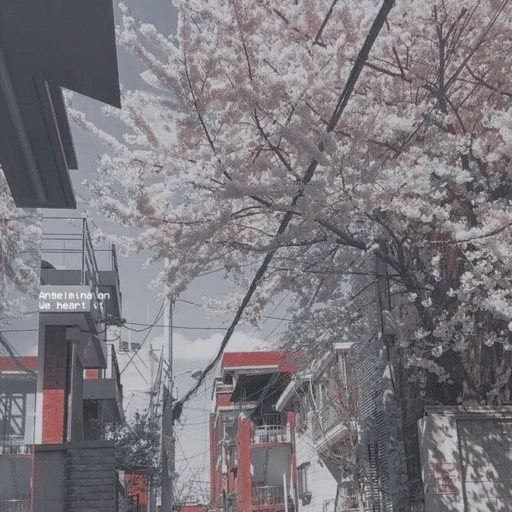 💕 Стикер «Anime is love» для Telegram