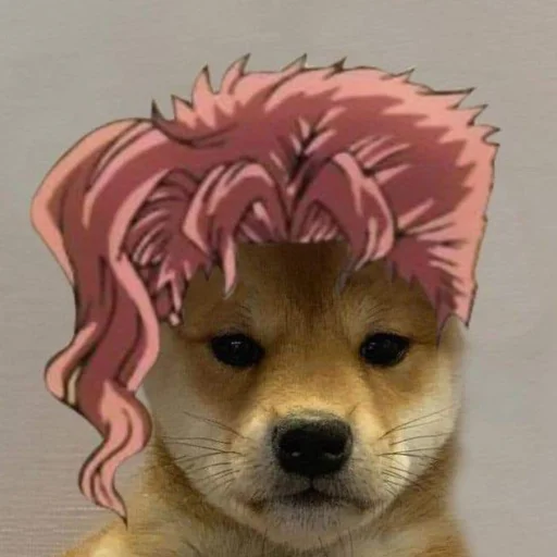 🐶 Стикер «JoJo y» для Telegram