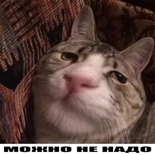 🐔 Стикер «It`s cool to be anime» для Telegram