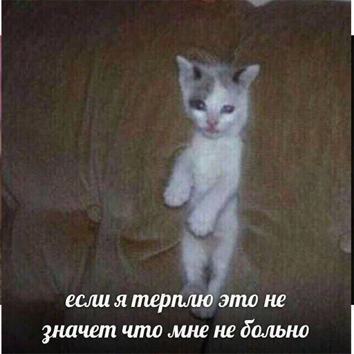 🐔 Стикер «It`s cool to be anime» для Telegram